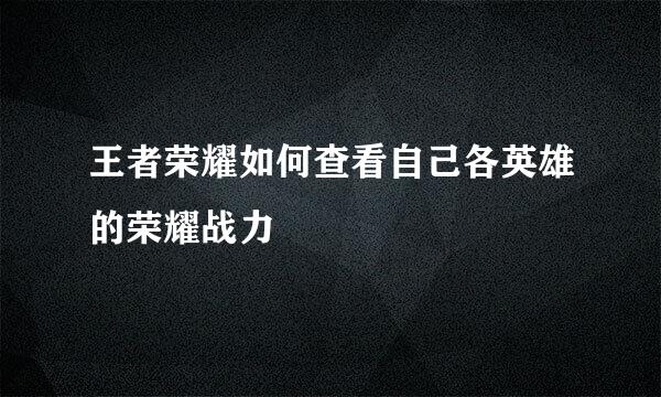 王者荣耀如何查看自己各英雄的荣耀战力