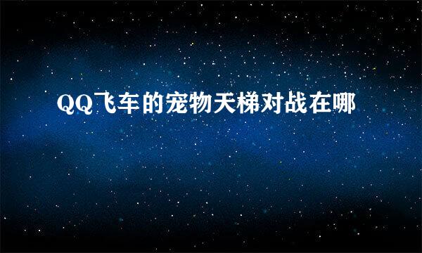 QQ飞车的宠物天梯对战在哪