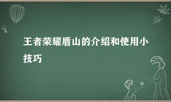 王者荣耀盾山的介绍和使用小技巧
