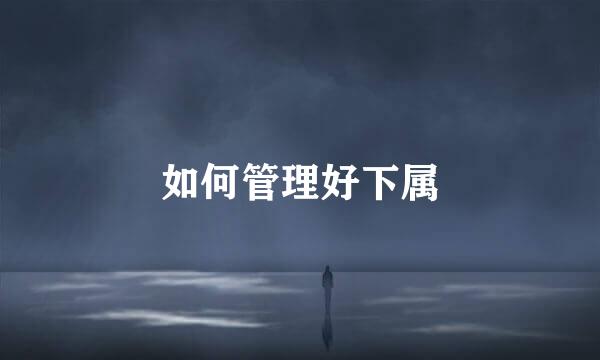 如何管理好下属