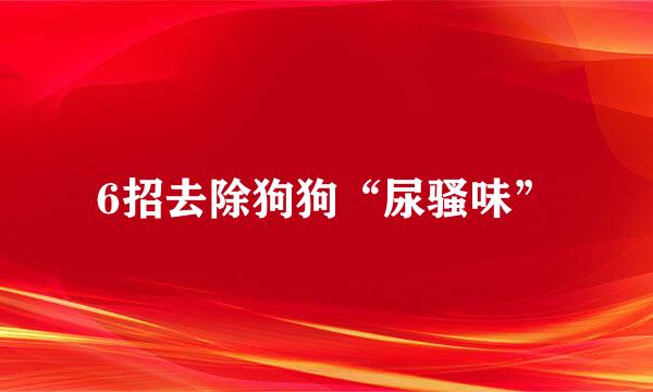 6招去除狗狗“尿骚味”