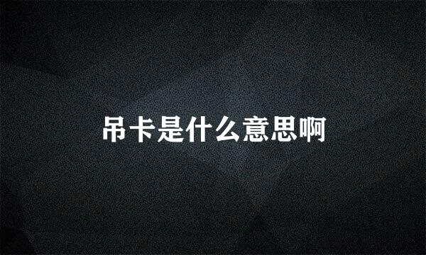 吊卡是什么意思啊