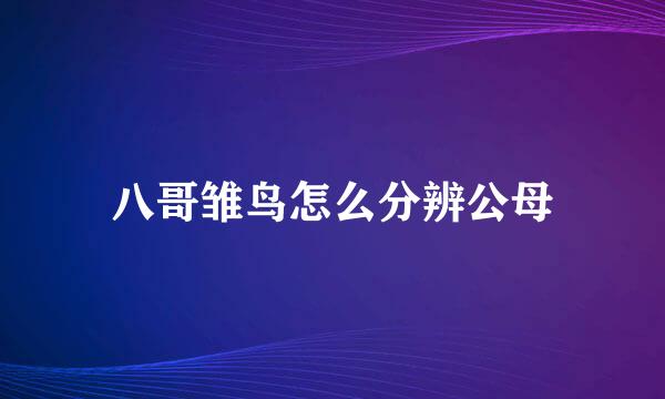 八哥雏鸟怎么分辨公母