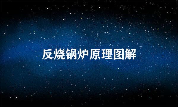 反烧锅炉原理图解