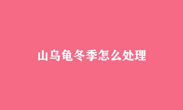 山乌龟冬季怎么处理