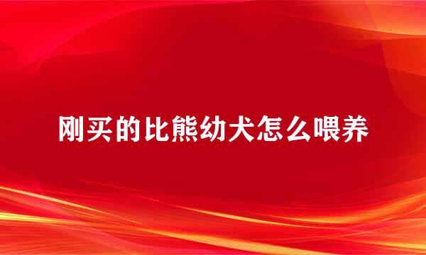 刚买的比熊幼犬怎么喂养