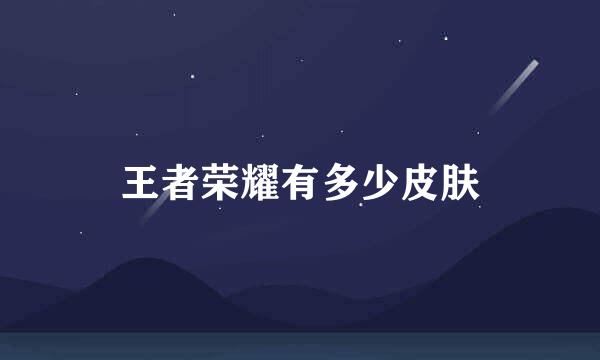王者荣耀有多少皮肤
