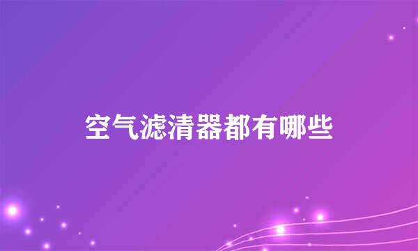空气滤清器都有哪些