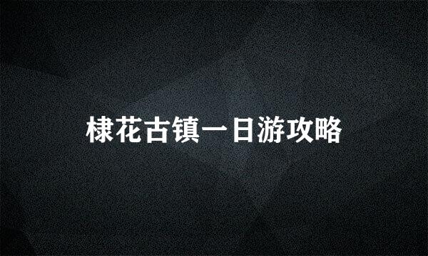 棣花古镇一日游攻略