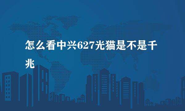 怎么看中兴627光猫是不是千兆