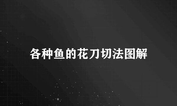 各种鱼的花刀切法图解