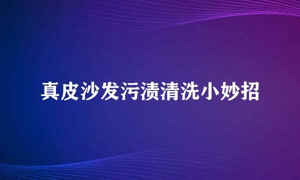 真皮沙发污渍清洗小妙招