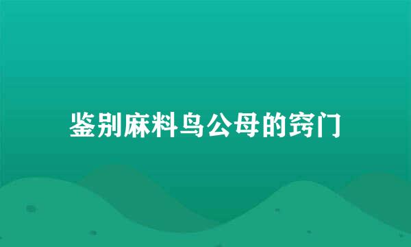 鉴别麻料鸟公母的窍门