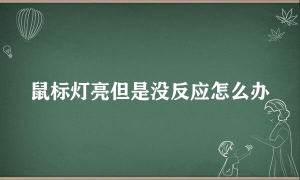 鼠标灯亮但是没反应怎么办