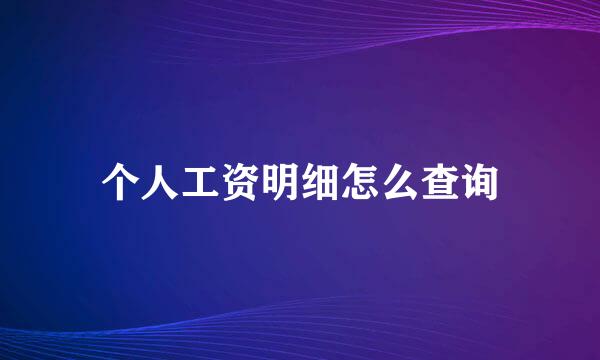个人工资明细怎么查询