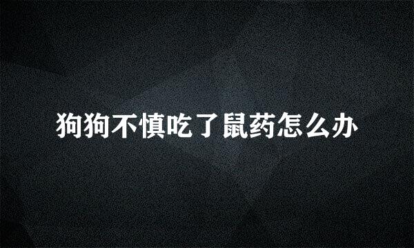 狗狗不慎吃了鼠药怎么办