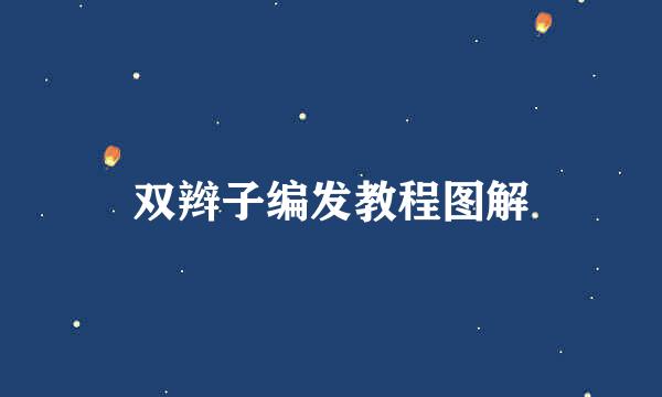 双辫子编发教程图解