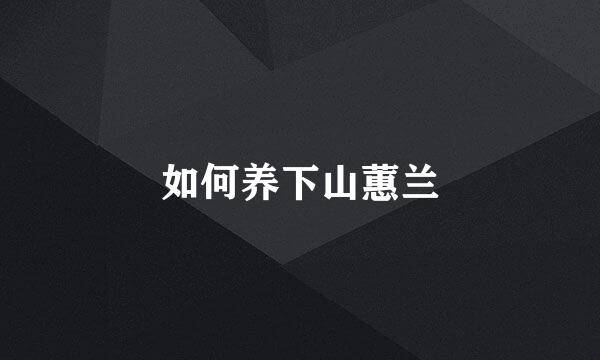 如何养下山蕙兰