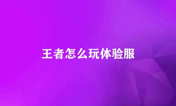 王者怎么玩体验服