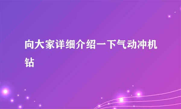 向大家详细介绍一下气动冲机钻