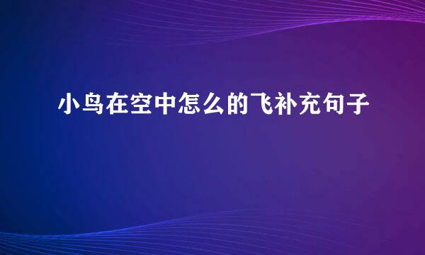 小鸟在空中怎么的飞补充句子