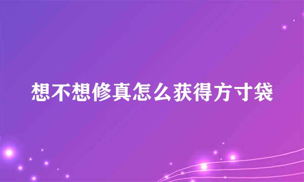 想不想修真怎么获得方寸袋