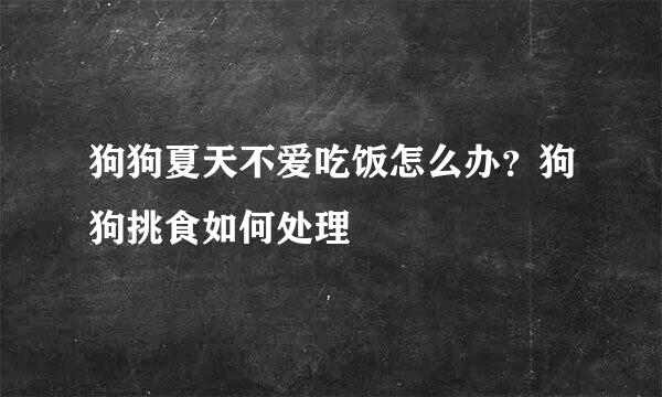 狗狗夏天不爱吃饭怎么办？狗狗挑食如何处理