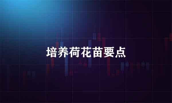 培养荷花苗要点