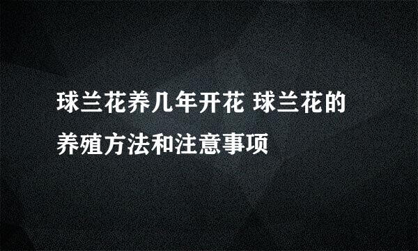 球兰花养几年开花 球兰花的养殖方法和注意事项
