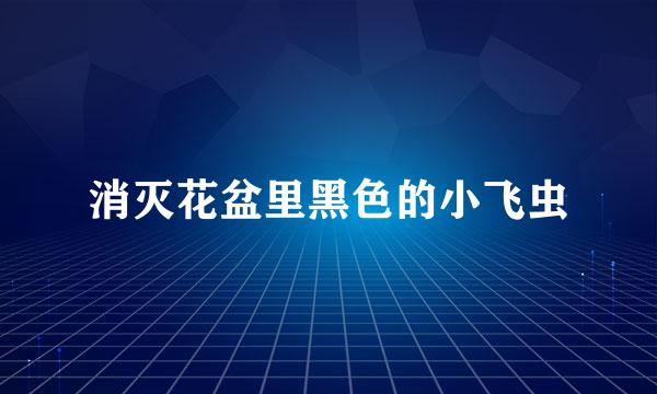 消灭花盆里黑色的小飞虫