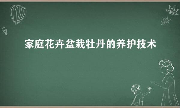 家庭花卉盆栽牡丹的养护技术