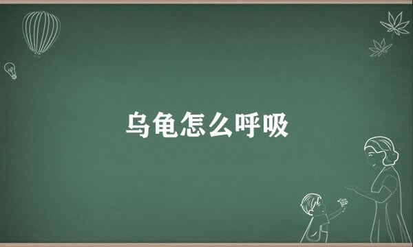 乌龟怎么呼吸