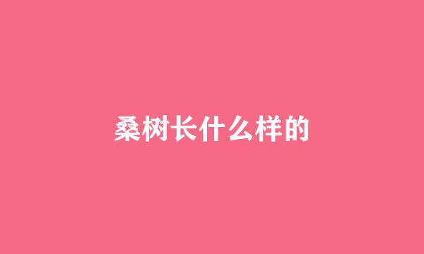 桑树长什么样的