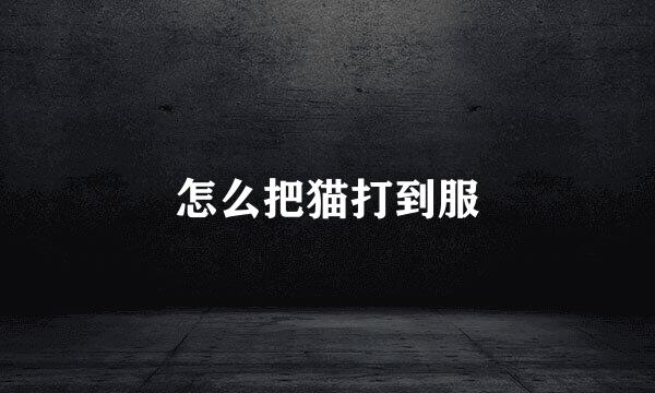 怎么把猫打到服