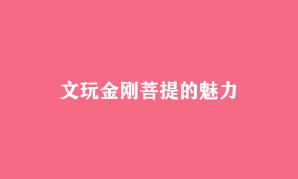 文玩金刚菩提的魅力