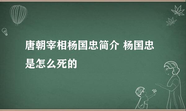 唐朝宰相杨国忠简介 杨国忠是怎么死的