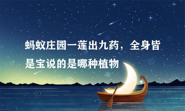 蚂蚁庄园一莲出九药，全身皆是宝说的是哪种植物