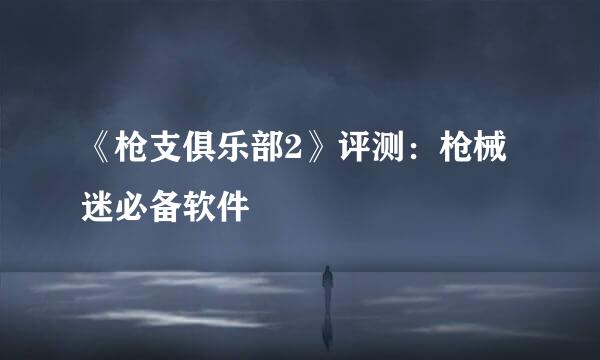 《枪支俱乐部2》评测：枪械迷必备软件