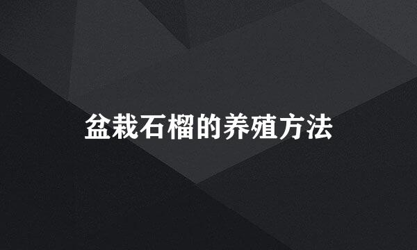 盆栽石榴的养殖方法