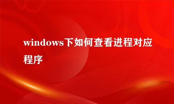 windows下如何查看进程对应程序