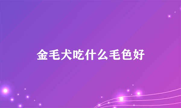 金毛犬吃什么毛色好