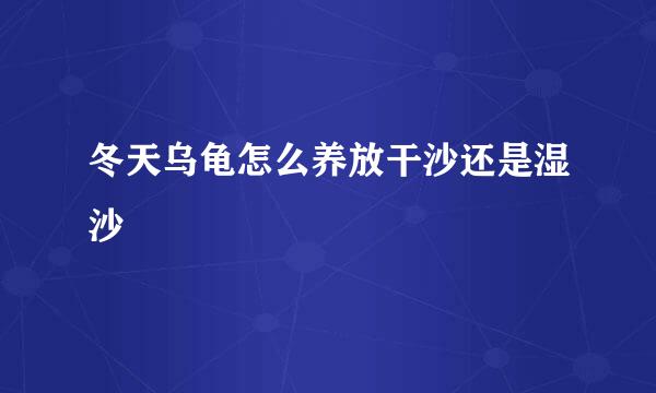 冬天乌龟怎么养放干沙还是湿沙