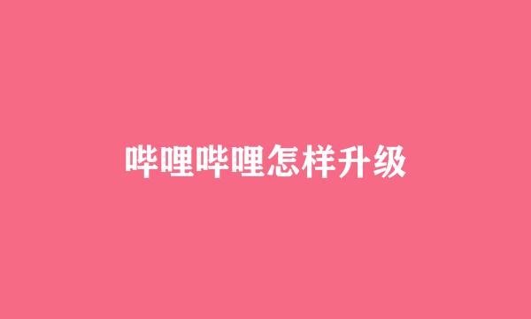 哔哩哔哩怎样升级