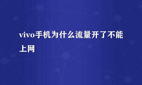 vivo手机为什么流量开了不能上网