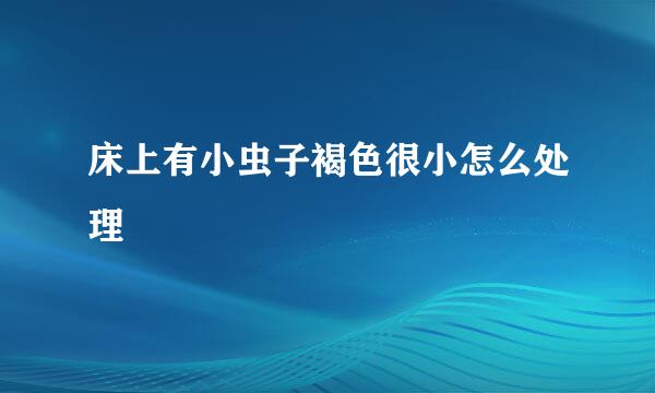 床上有小虫子褐色很小怎么处理