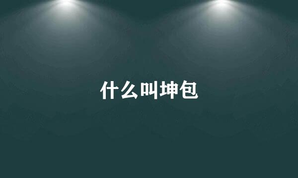 什么叫坤包