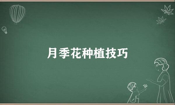月季花种植技巧