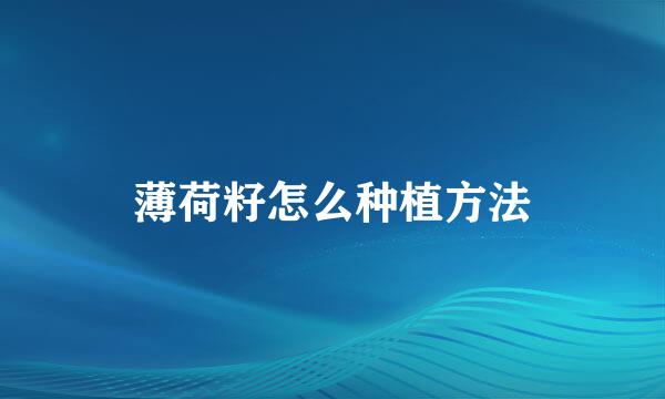 薄荷籽怎么种植方法