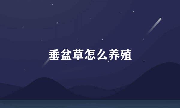 垂盆草怎么养殖
