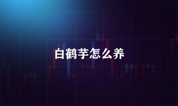 白鹤芋怎么养